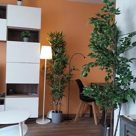 Charming With Terrace And Underground Parking Apartamento *