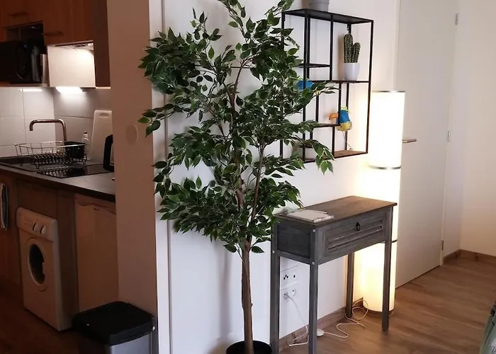 Charming With Terrace And Underground Parking Appartamento
